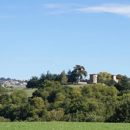 Bed & Breakfast Chateau Du Besset 4*