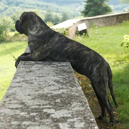 Bed & Breakfast Chateau Du Besset Saint-Romain-de-Lerps