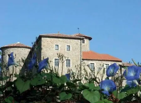 Bed & Breakfast Chateau Du Besset